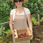 Acarlar’dan Eğitime “Kiraz” Desteği