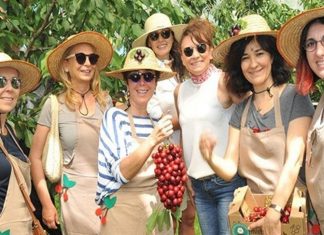 Acarlar’dan Eğitime “Kiraz” Desteği