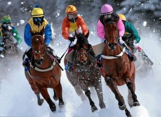 At Türk’ün Kanadıdır