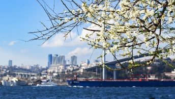 İstanbul'da Bayram