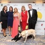 Her Şey Rehber Köpekler İçin