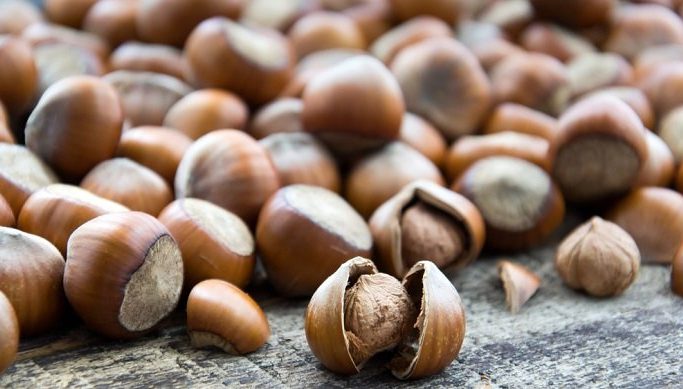 Çiğ Fındıkla Gelen 10 Fayda
