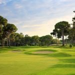 Golf Tutkunları Nuri Özaltın Anısına Bir Araya Geliyor