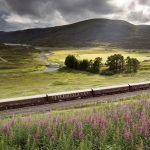 Tren İle Rüya Gibi Bir Yolculuğa Ne Dersiniz