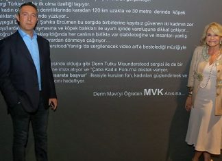 Ayşegül Dinçkökün Yanılgısı