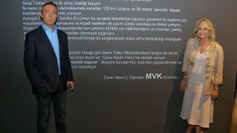 Ayşegül Dinçkökün Yanılgısı