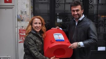Sevimli Dostlara Armed Barınağı