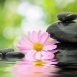 Sürekli Bir Şeyler Ters mi Gidiyor? Cevabı Çin Burcunuzda