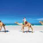 El Yakmayan Seyahat Rotaları