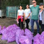 Her Şey Mis Gibi Bir Türkiye İçin