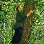 Japonya’dan NG Sapanca’ya Uzanan Doğa Yolculuğu!