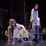 Ormanın Ve Şehrin Kanunları Birbirine Ne Kadar Benzer