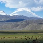 Bir Fotoğraf Masalı Van!