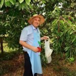 Acarlar’dan Kiraz Festivaliyle Eğitime Destek!