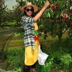 Acarlar’dan Kiraz Festivaliyle Eğitime Destek!