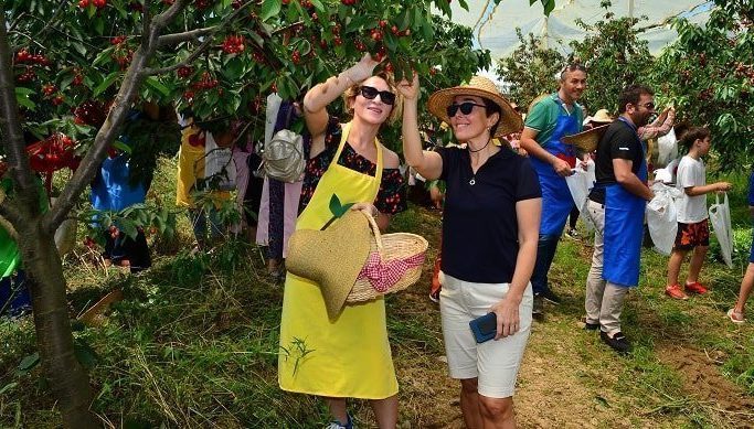 Acarlar’dan Kiraz Festivaliyle Eğitime Destek!