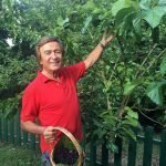 Erol Evgin’in Organik Yaşamı