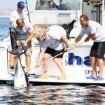 Nefes Kesen Mücadelede Ünlü İsimler Büyük Balık Peşinde