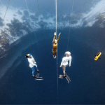 sahika-ercumen-bahamalardan-rekor-ile-donuyor-2