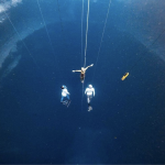 sahika-ercumen-bahamalardan-rekor-ile-donuyor-3