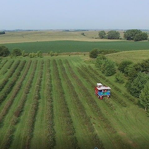 Türk Kadın Girişimci Amerika’da Tereciye Tere Satıyor