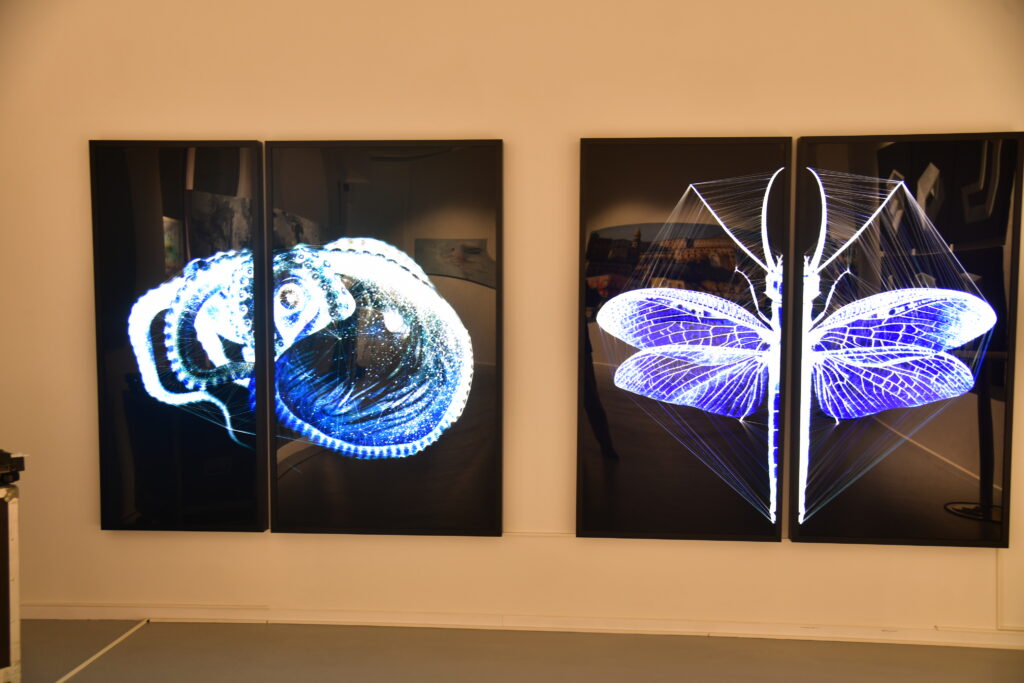Piyalepaşa’da Sanat Şöleni
